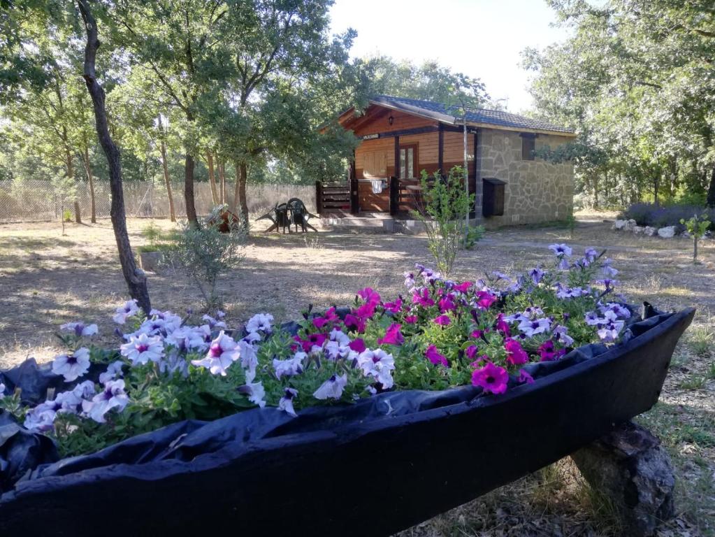 Zahrada ubytování Cabañas Vallecino