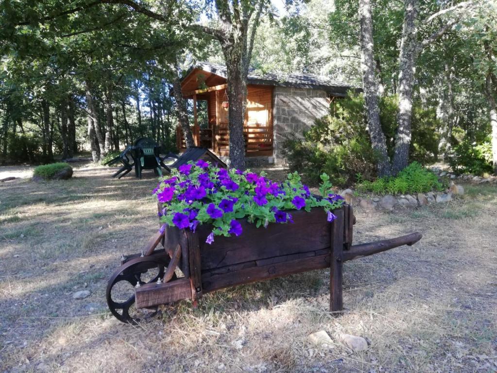 Zahrada ubytování Cabañas Vallecino