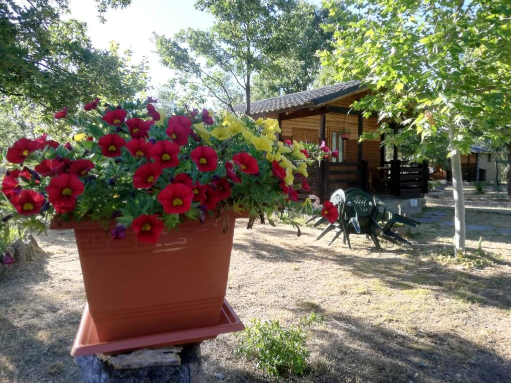 Zahrada ubytování Cabañas Vallecino