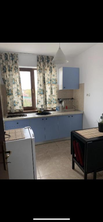 Kuchyň nebo kuchyňský kout v ubytování Casa Bozianu
