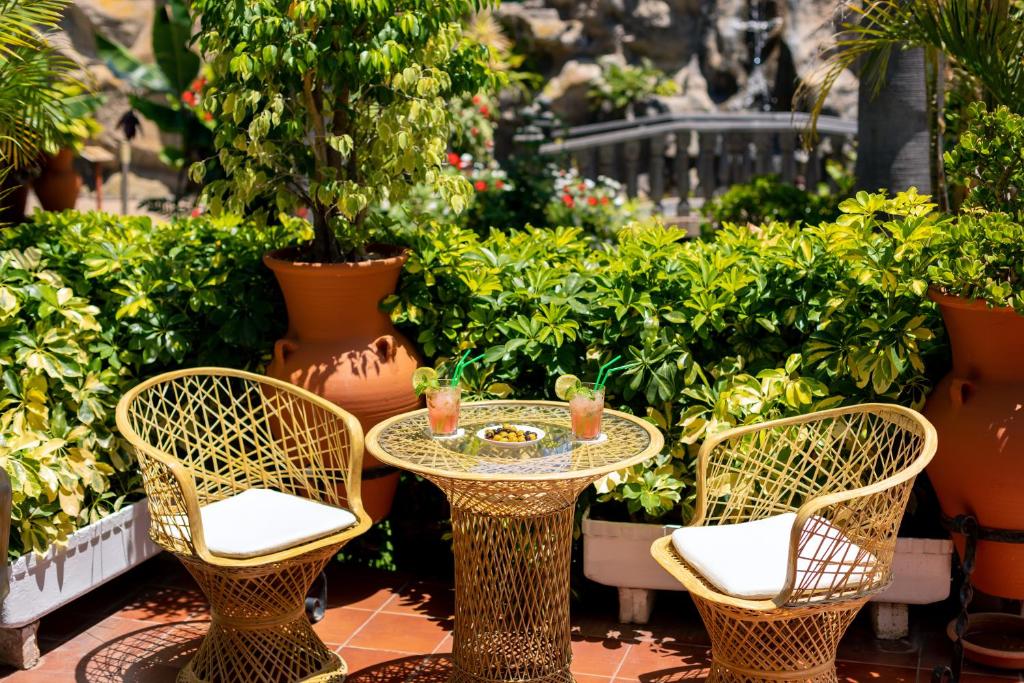 Zahrada ubytování Hotel Don Manolito