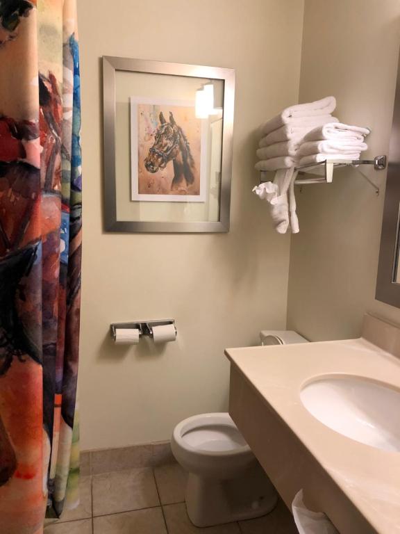Cedar Stables Inn & Suites - Suite