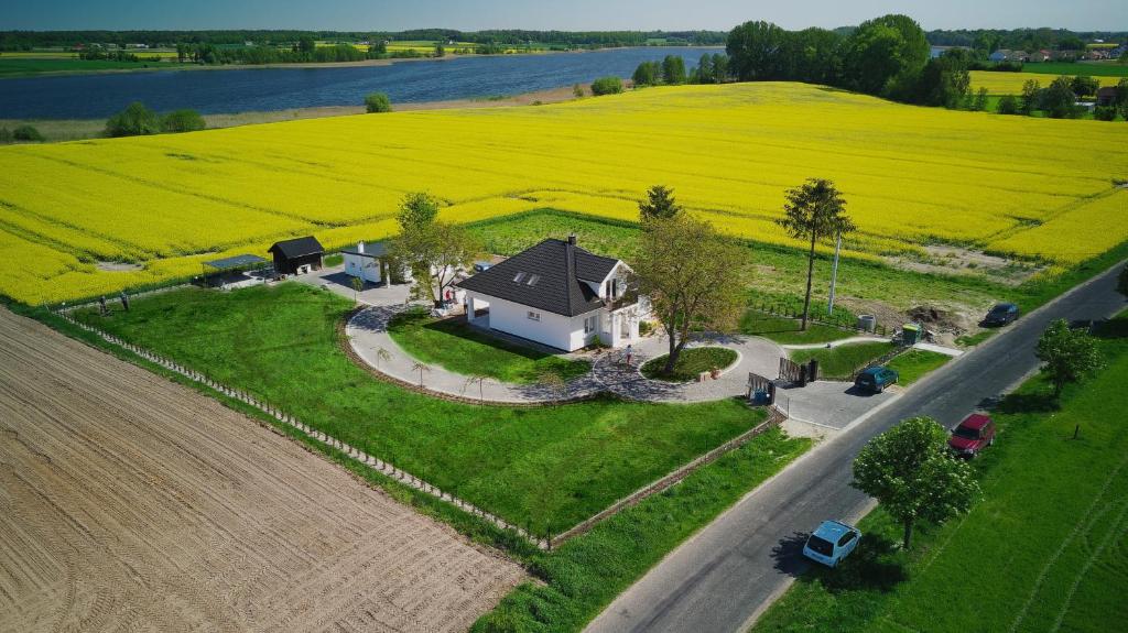 una casa in mezzo a un campo vicino a una strada di Dom Wypoczynkowy pod Orzechem a Dobrzyń nad Wisłą