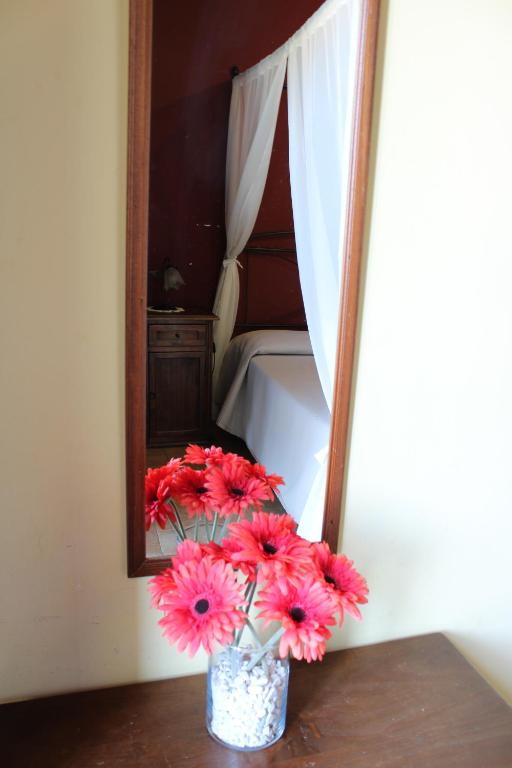 IL Ciliegio Dell 'Etna - 8