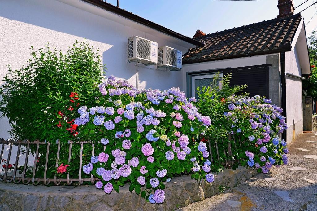 Zahrada ubytování Apartment Ivone - 5 STARS