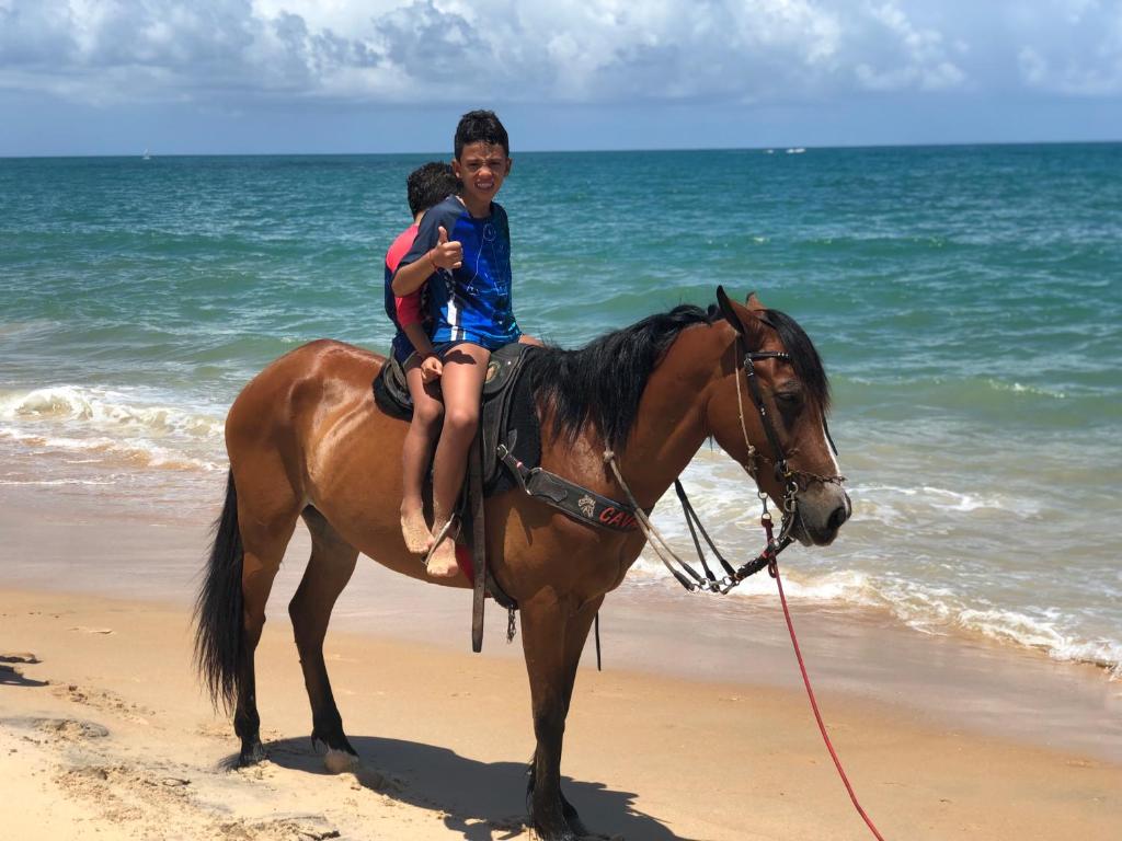  Paraiso em Praia do Forte