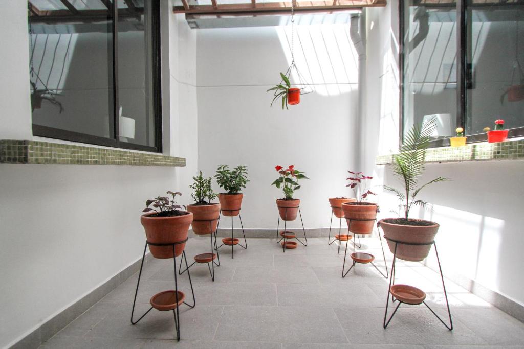 Fotografie z fotogalerie ubytování Casa Tuvia v destinaci Medellín