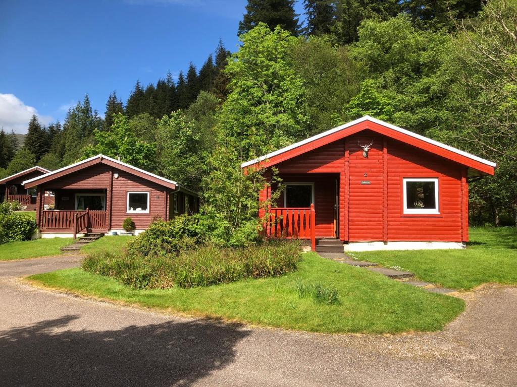 a couple of cabins in a forest with trees at Pucks Glen Lodges in Dunoon