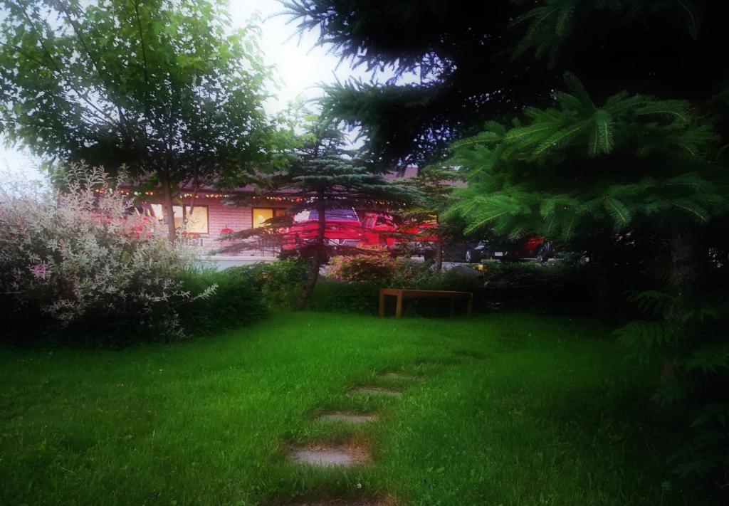 Zahrada ubytování Motel Alexandrin