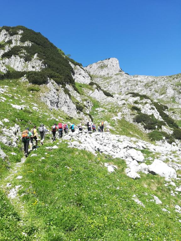 Příroda nedaleko venkovského domu