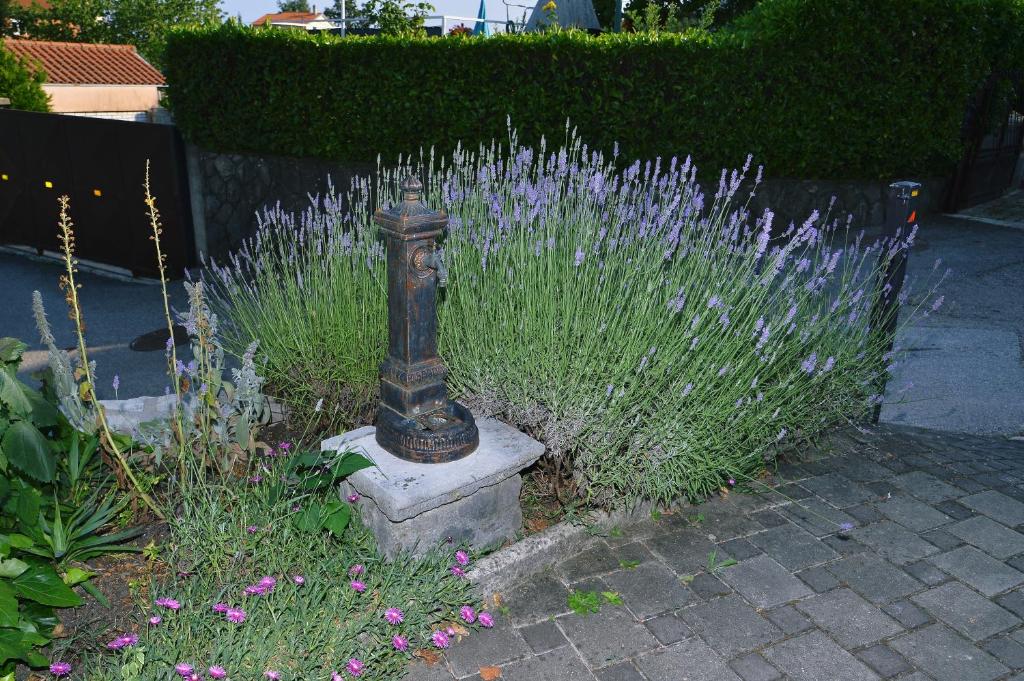 Zahrada ubytování Apartment Ivone - 5 STARS