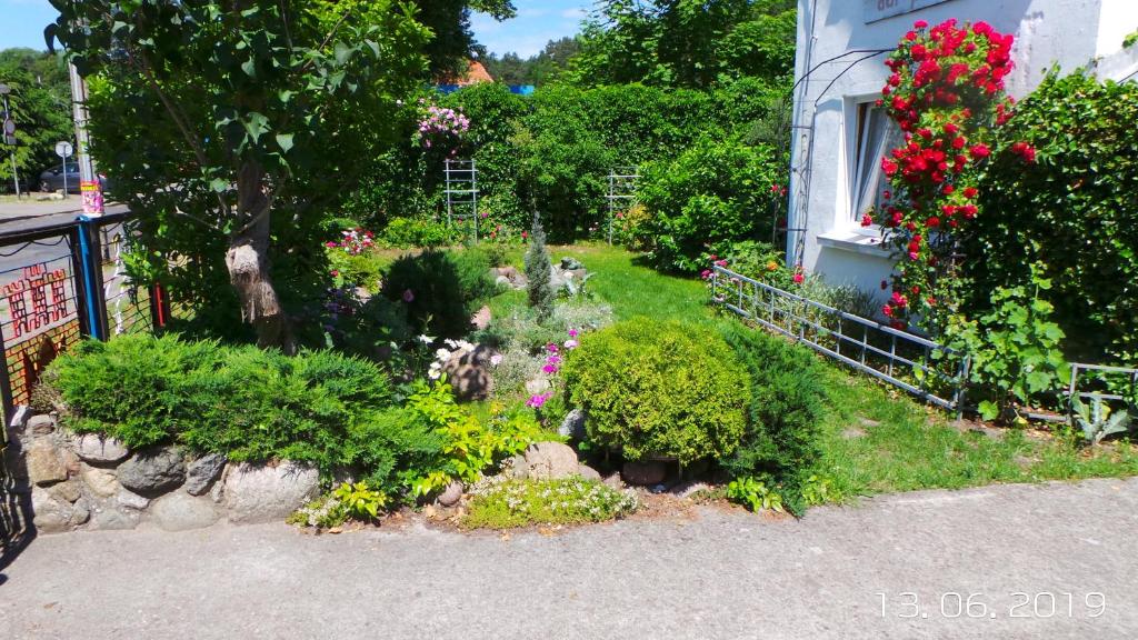 Zahrada ubytování Iza-pokoje do wynajecia