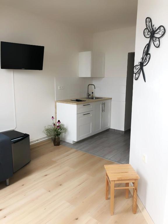 Kuchyň nebo kuchyňský kout v ubytování Hotel Gregor