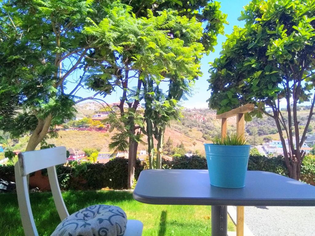 une table bleue et une chaise avec une plante en pot dans l'établissement APARTAMENTO LEMMON TREE, à Santa Brígida
