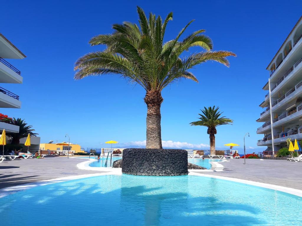 una palmera en medio de una piscina en Luxury Tagara Beach, en Puerto de Santiago