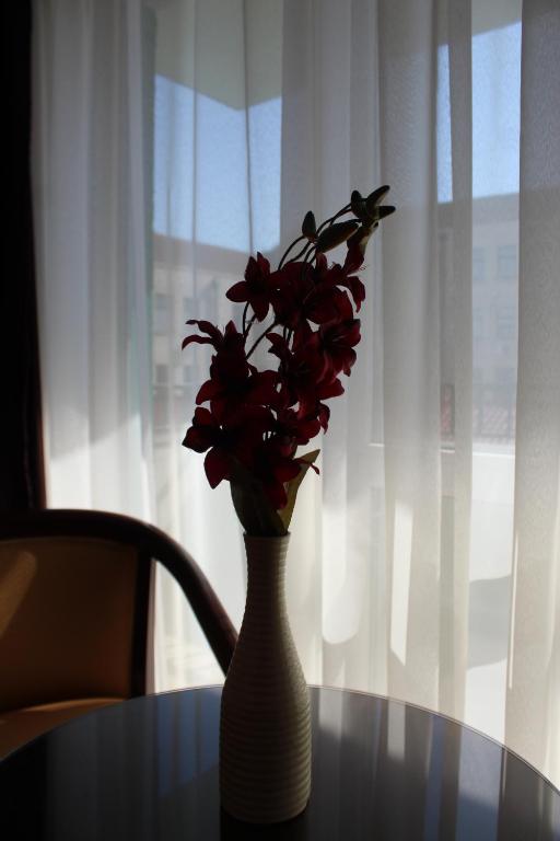 a vase with red flowers sitting on a table at Pensiunea Junior in Cluj-Napoca