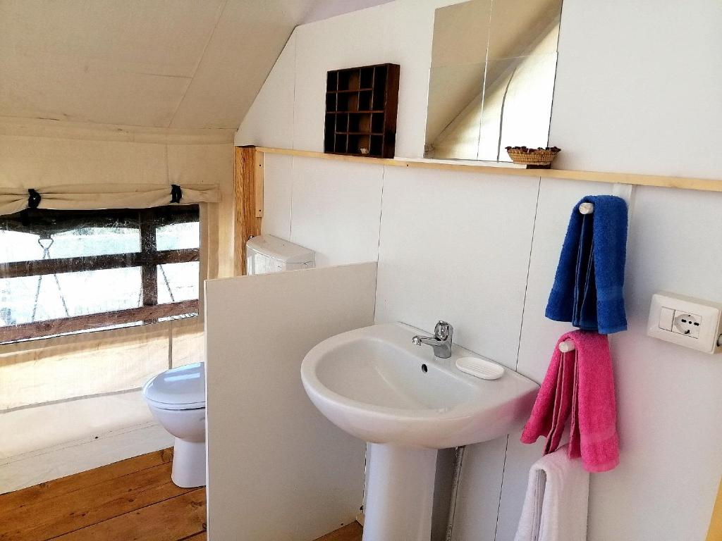 Agriturismo Glamping Erbe Matte - Tent