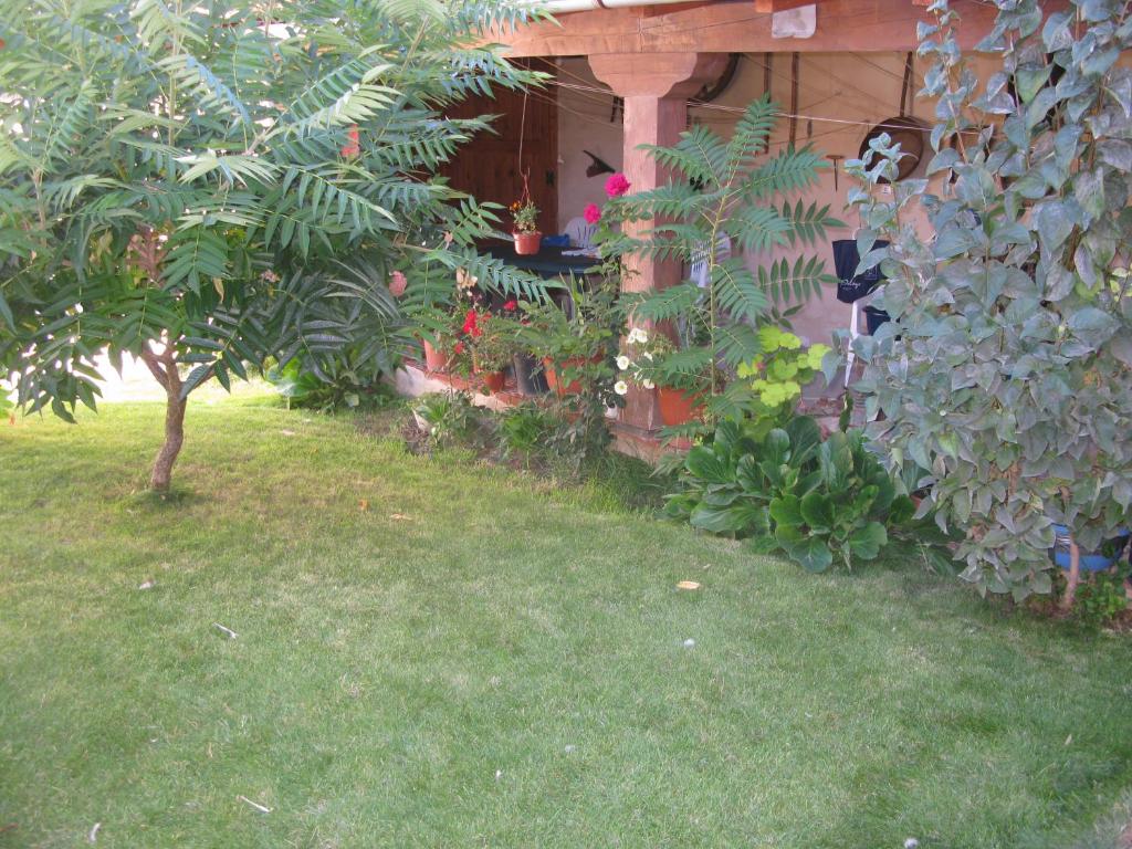 um quintal com plantas e uma casa com uma árvore em Casa Rural Arturo I em Sahagún