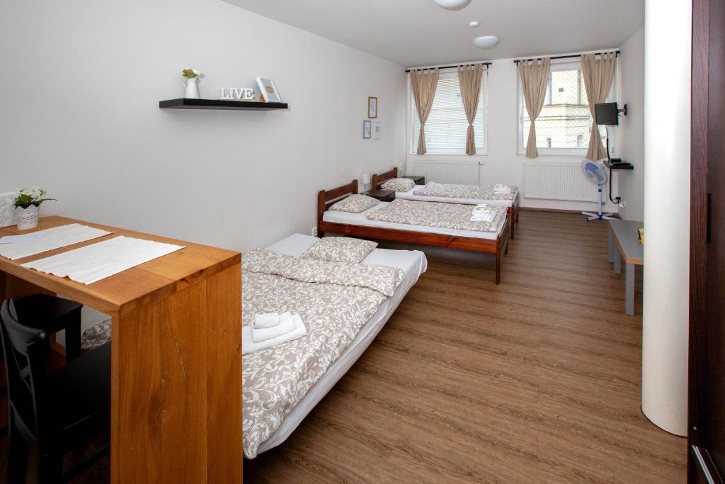 Žižkov Cosy Studio Apartments - Studio Apartment