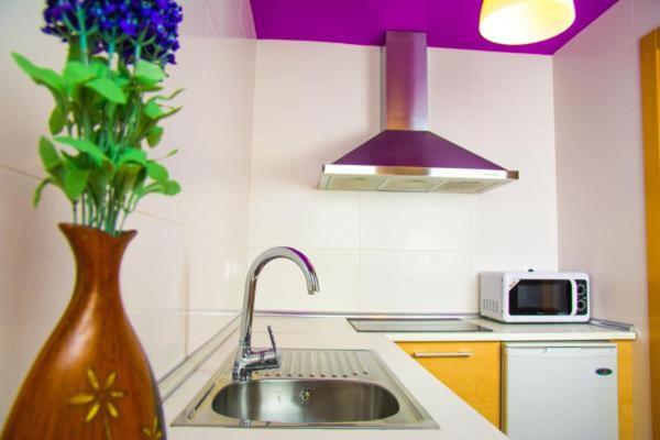 Kuchyňa alebo kuchynka v ubytovaní Apartamentos 16:9 Playa Suites