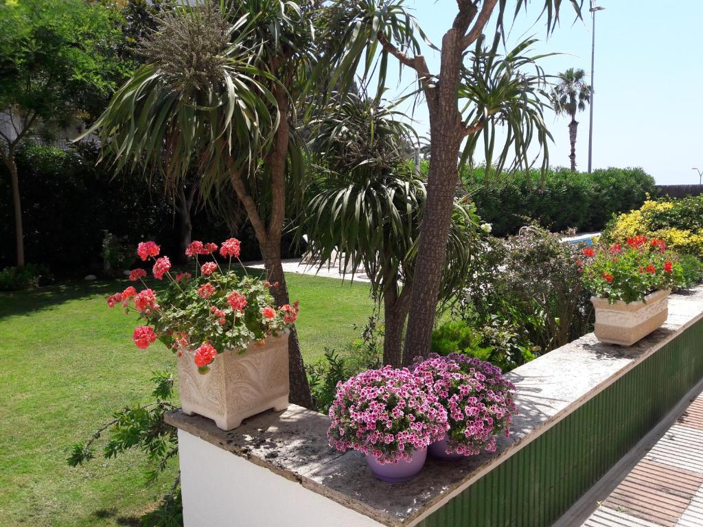 Fotografie z fotogalerie ubytování Apartamento Sol- Fanals v destinaci Lloret de Mar