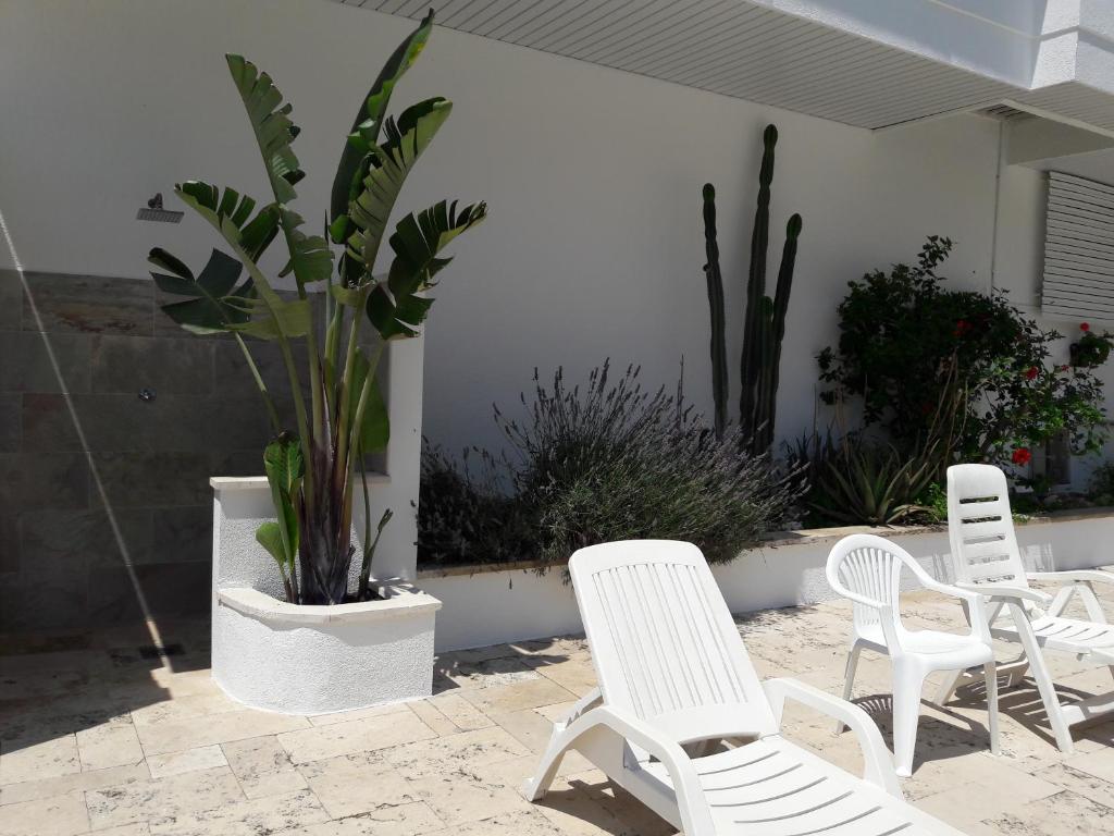 Fotografie z fotogalerie ubytování Apartamento Sol- Fanals v destinaci Lloret de Mar