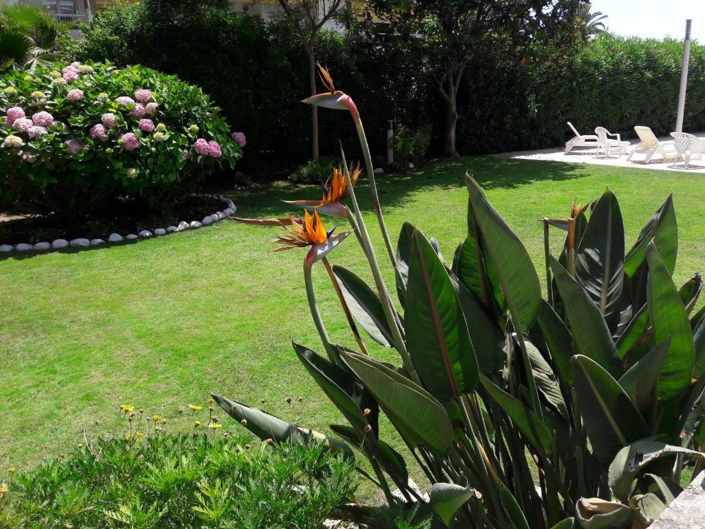 Fotografie z fotogalerie ubytování Apartamento Sol- Fanals v destinaci Lloret de Mar