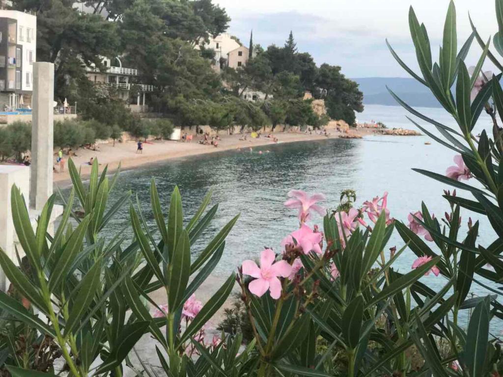 Príroda v okolí apartmánu