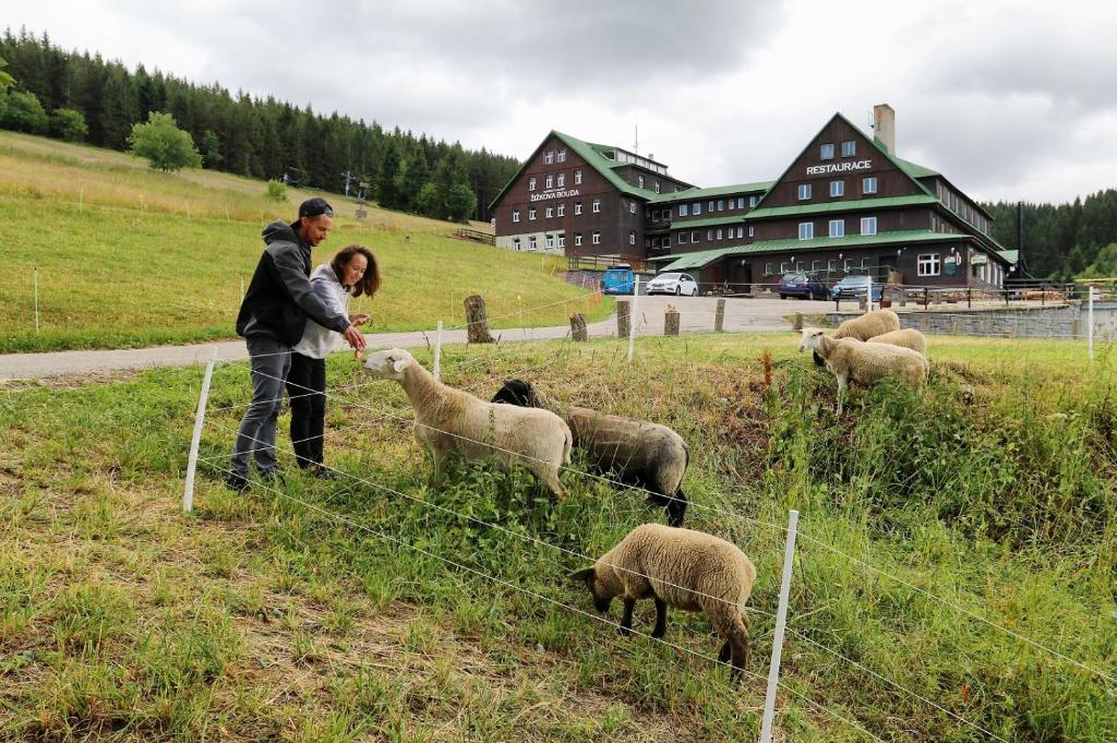 Hosté ubytování Horský hotel Žižkova bouda
