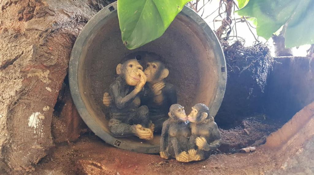 Happy Horizon Home Stay - 13