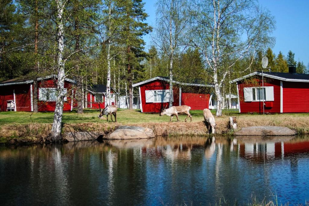 Motelli Rovaniemi
