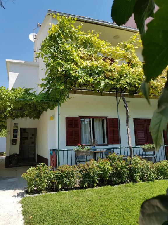 Zahrada ubytování Guesthouse Jet
