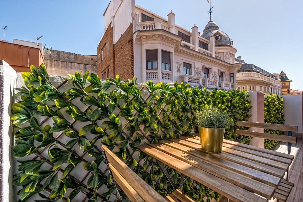 un banco de madera con una maceta en la parte superior de un edificio en iloftmalaga Moreno Carbonero, en Málaga