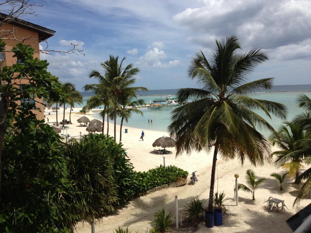 vistas a una playa con palmeras y al océano en Hotel Arena Coco Playa, en Boca Chica