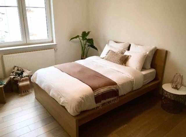 a bedroom with a large bed with a plant on it at Modern 100m2 Flat 2mn Walking from Train Station in City Center, Free Parking -2A in Luxembourg