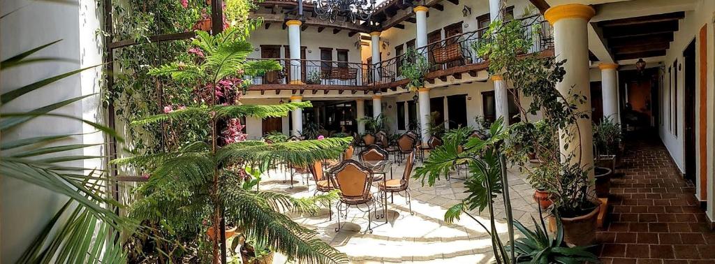 un cortile vuoto di un edificio con piante di Hotel Grand Maria a San Cristóbal de Las Casas