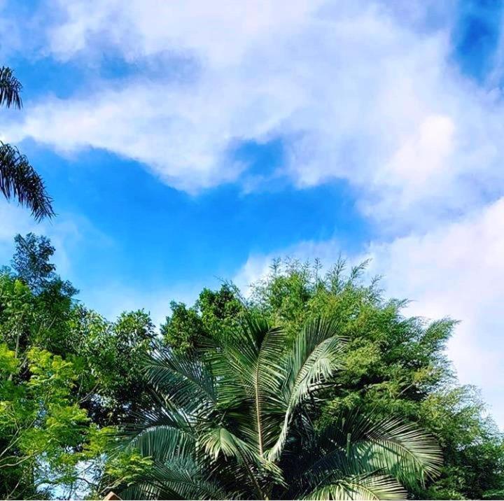  CHÁCARA SONHO VERDE