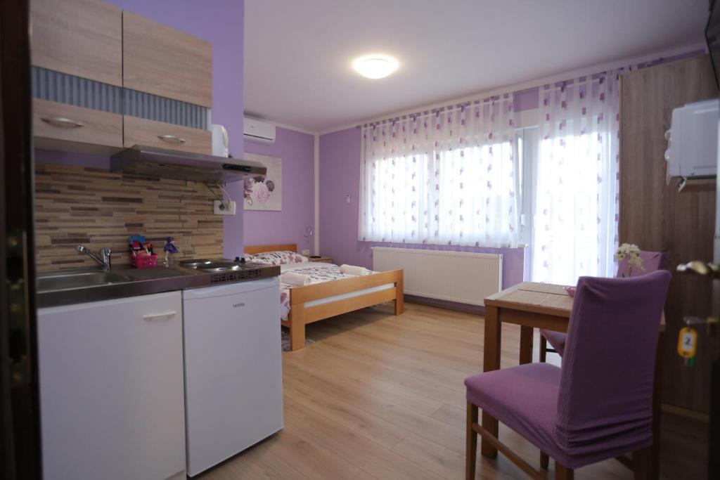 APARTMANI KSENIJA - 14