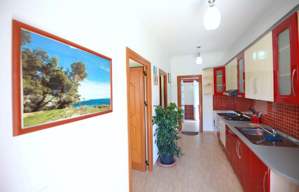 Kuchyň nebo kuchyňský kout v ubytování My Home Guest House
