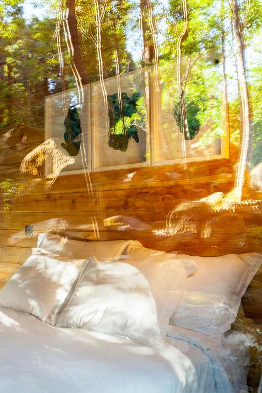 Fotografie z fotogalerie ubytování Caparica Azores Ecolodge v destinaci Biscoitos