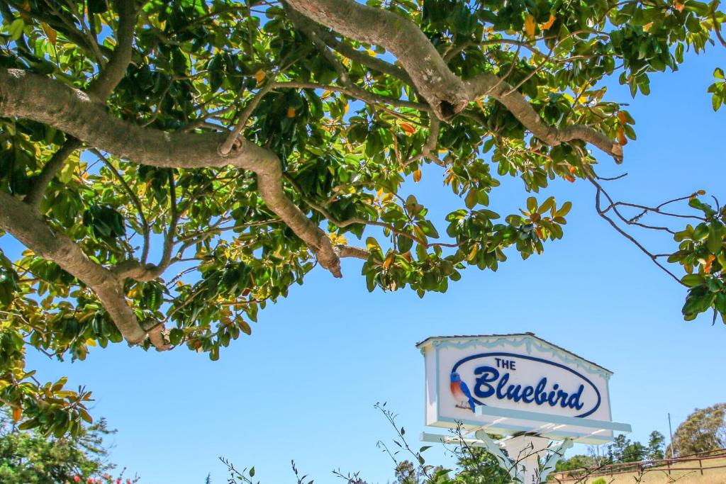 a sign for the ballpark under a tree at Bluebird Inn in Cambria