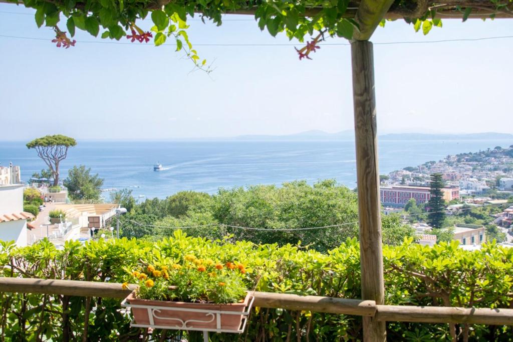 Paesaggio naturale nelle vicinanze dell'affittacamere