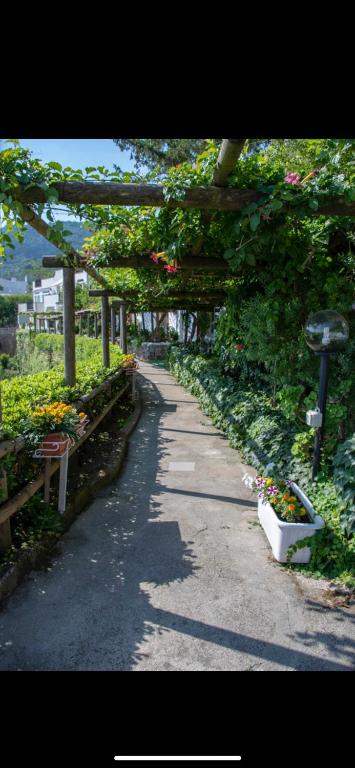 Giardino di Guesthouse Coralba