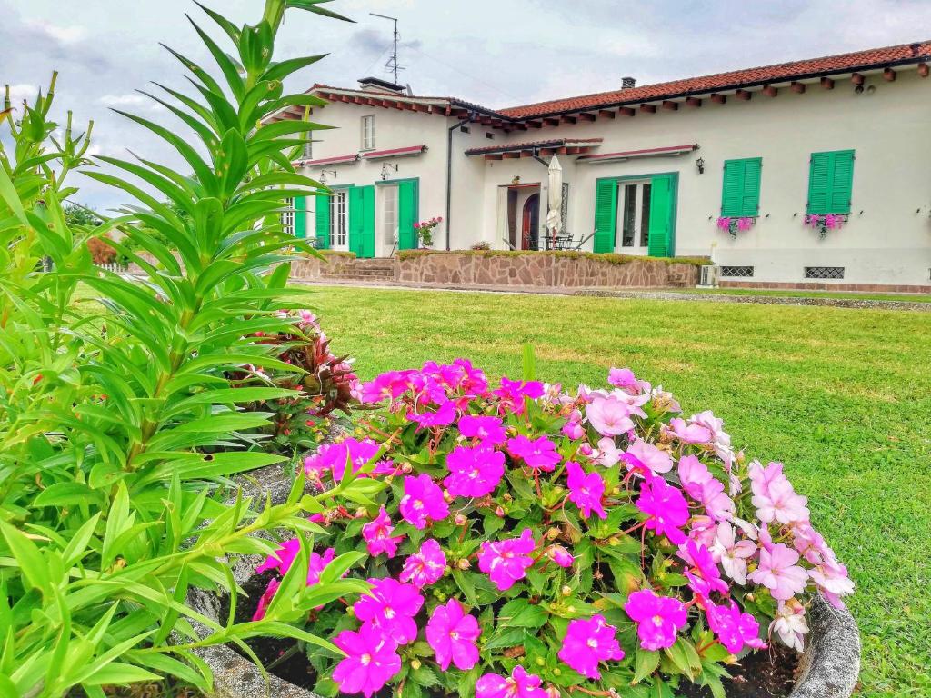 A garden outside Exclusive Villa