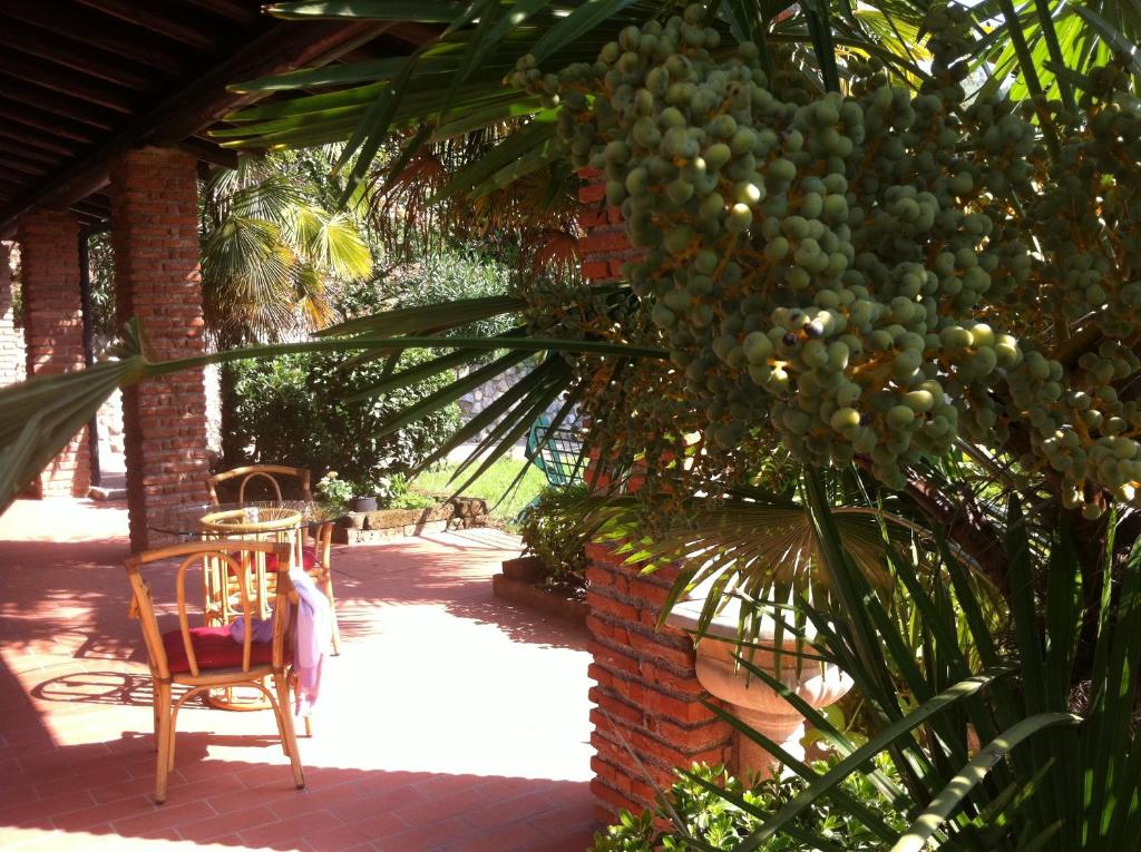 Zahrada ubytování B&B Soiano Del Lago