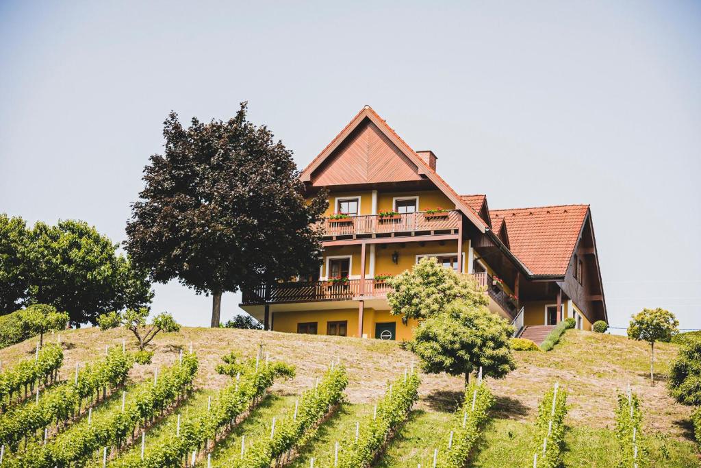 a house on top of a hill with a vineyard at Hohler Appartement Gamlitz in Gamlitz