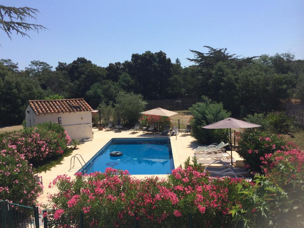 una piscina en un patio con flores rosas en Villa Côte Vermeille en Argelès-sur-Mer