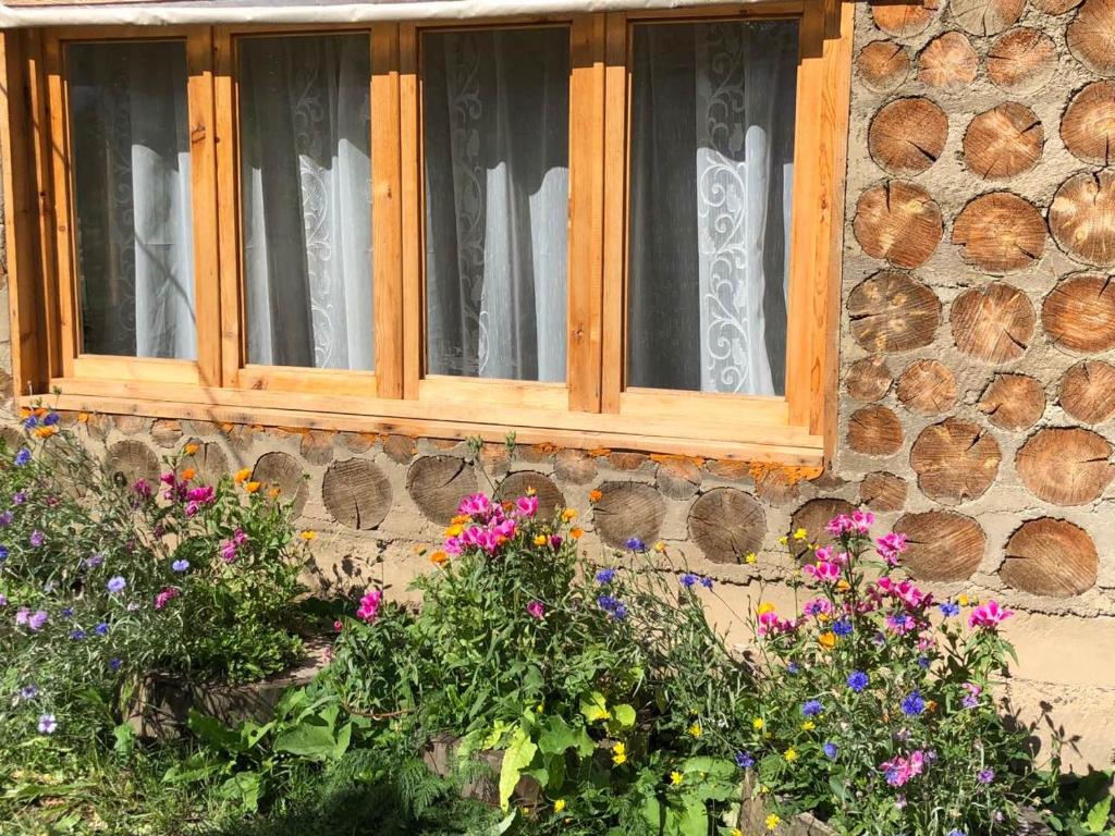 Zahrada ubytování Guest House ALUDA