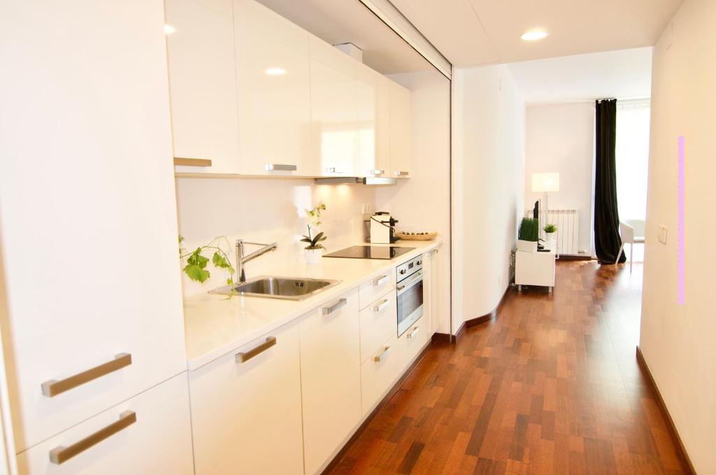 Kuchyň nebo kuchyňský kout v ubytování Glasir Apartments Barcelona