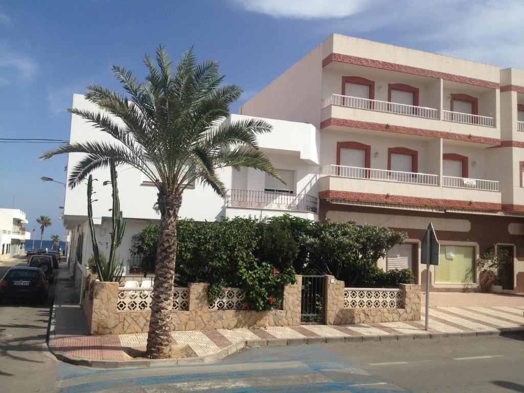 a palm tree in front of a building at Apartamentos Sol Andaluz in Carboneras